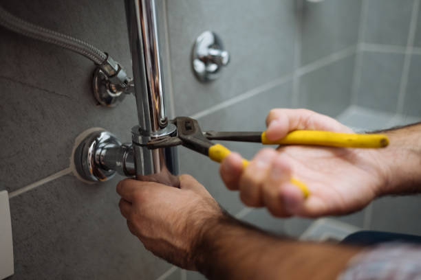  Woodridge, IL Plumbing services Pros