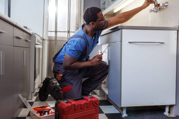 Best Commercial Plumbing Services  in Woodridge, IL